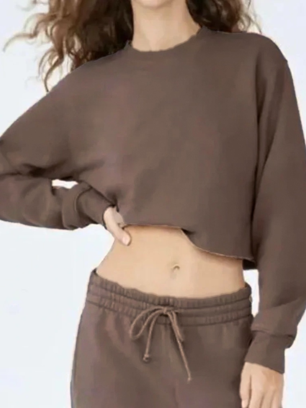 ARITZIA TNA Sweat Fleece 'Perfect ' Sweatshirt Cropped sz S